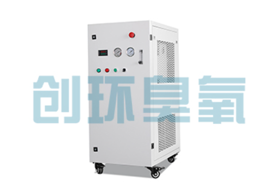 张北石斑鱼养殖水质调控完整指南:臭氧发生器配置与操作步骤