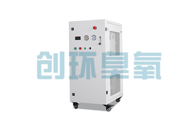 张北比传统换水更高效?臭氧发生器在石斑鱼养殖中的水质净化原理解析